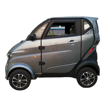 EEC COC Adult Good Quality Mini Eco-Friendly Mini Electric Car