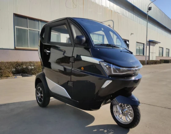 European Certified Household Small Electric Leisure Three Wheeled Short Distance Ride Tricycle Enclosed Scooter