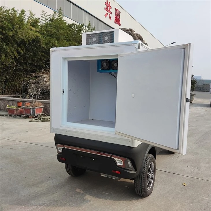 Ice Mini Van Electric Motorcycle Cargo Trailer EU Standard Truck With Freezer Ice Mini Van Electric Motorcycle Cargo Trailer EU Standard Truck With Freezer
