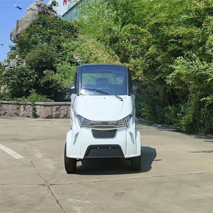 Europe E-MARK Cheap Mini Closed Motorcycle Electric Tricycle For Passenger Europe E-MARK Cheap Mini Closed Motorcycle Electric Tricycle For Passenger