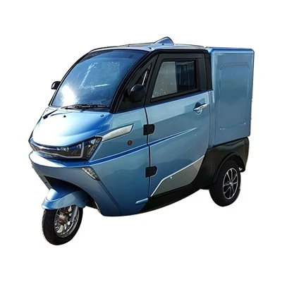 EEC-sertifikat 3000w motor 3 hjul levering elektrisk last trehjulssykkel for voksne